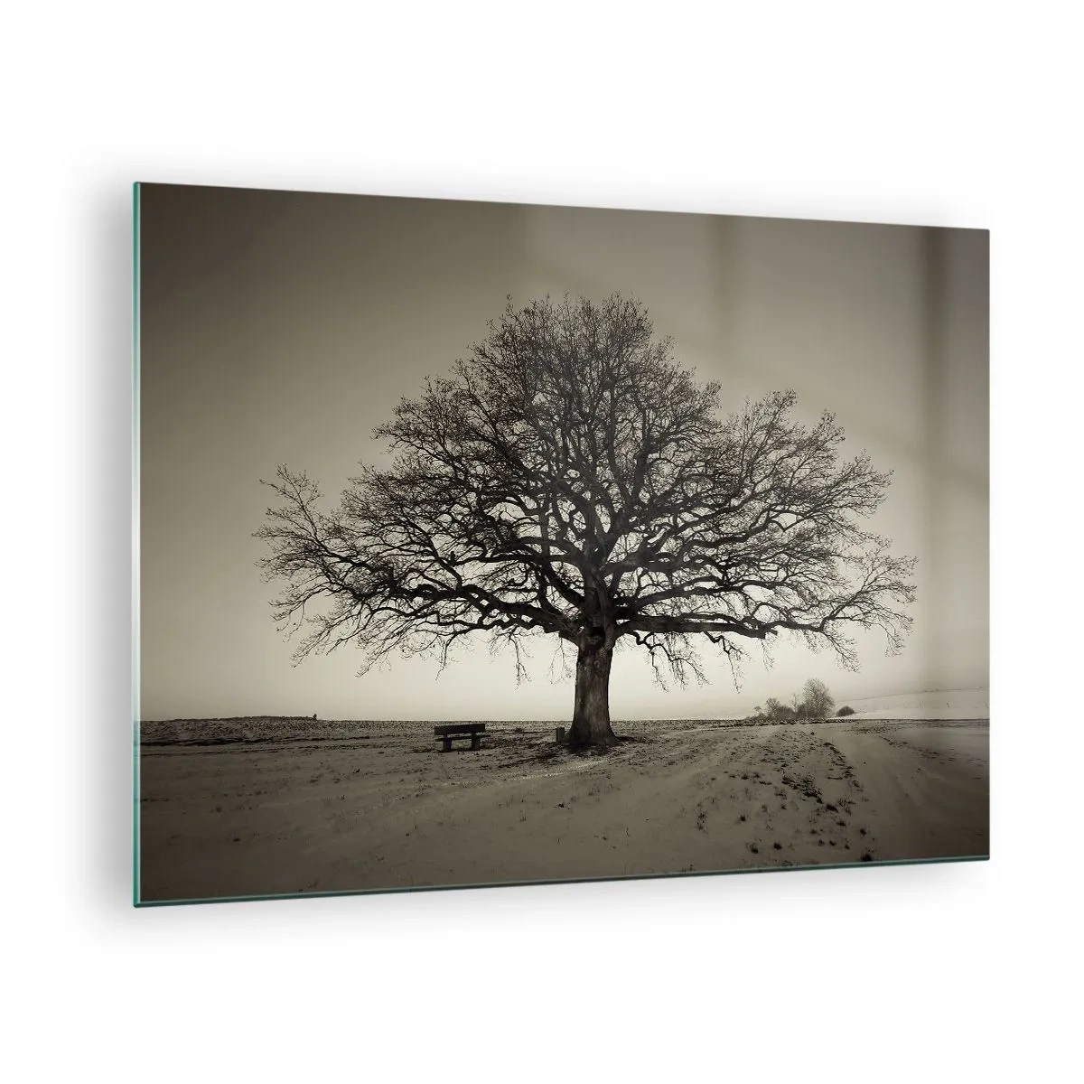 Glasbild - Bild auf glas - Ein einsamer Baum in einer monochromen Landschaft - 70x50cm - Von hier zu Ewigkeit - Moderne Wanddekoration für Wohnzimmer und Schlafzimmer ARTTOR