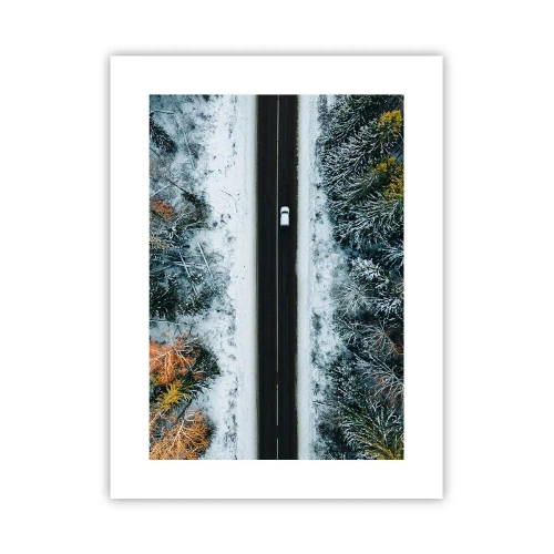 Poster - Schnitt durch den Winterwald - 30x40 cm