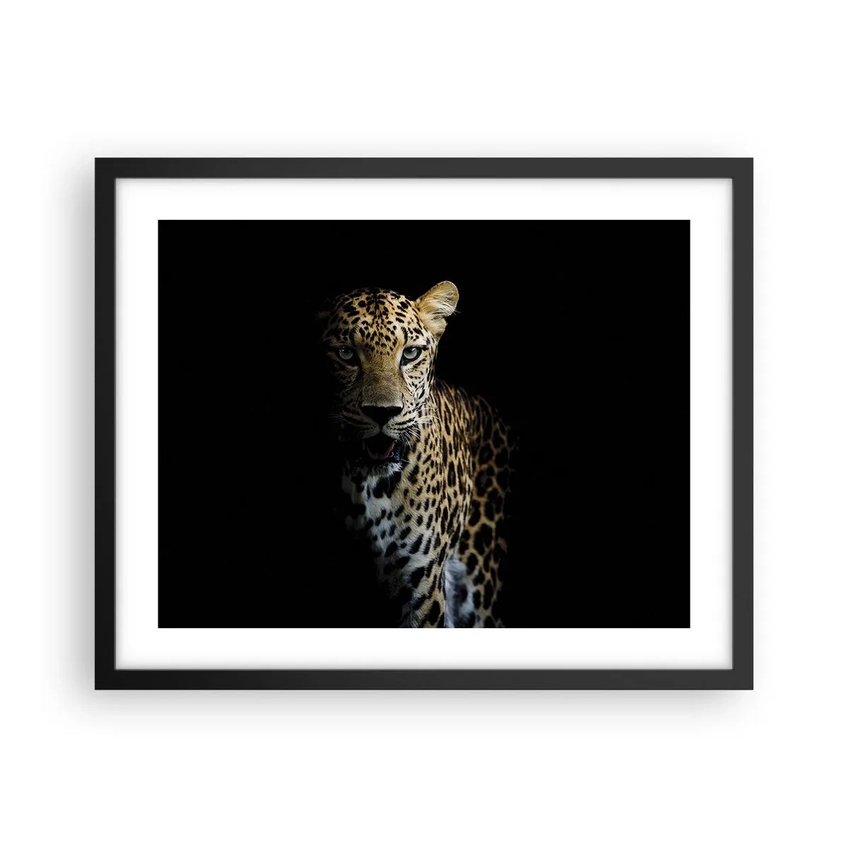 Poster in einem schwarzem Rahmen - Dunkle Schönheit - 50x40 cm