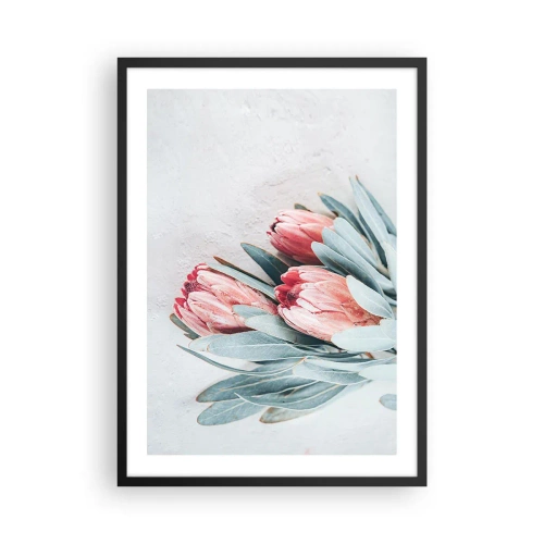Poster in einem schwarzem Rahmen - Eine subtile Komposition aus Protea-Blüten auf hellem Hintergrund - 50x70cm - Schämen sich für ihre eigene Schönheit - Moderne Wanddekoration für Wohnzimmer und Schlafzimmer ARTTOR