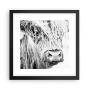 Poster in einem schwarzem Rahmen - Schottische Wildheit - 30x30 cm