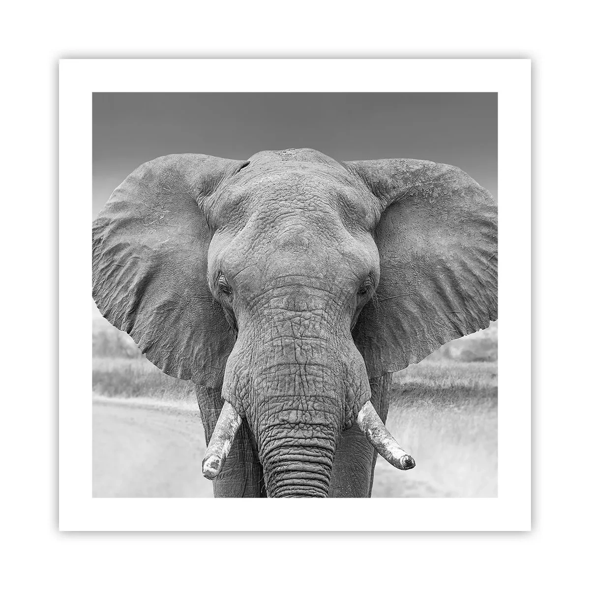 Poster - Willkommen in meiner Welt - 50x50 cm