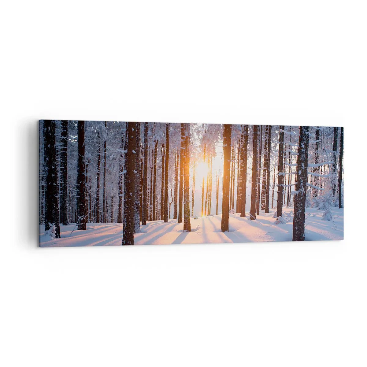 Bild auf Leinwand - Leinwandbild - Winterwald, beleuchtet von den Sonnenstrahlen - 140x50cm - Ganz klar schwarz auf weiß - Moderne Wanddekoration für Wohnzimmer und Schlafzimmer ARTTOR