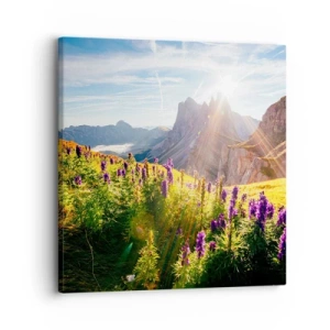 Bild auf Leinwand - Leinwandbild - Das geheime Leben der Kräuter - 30x30 cm