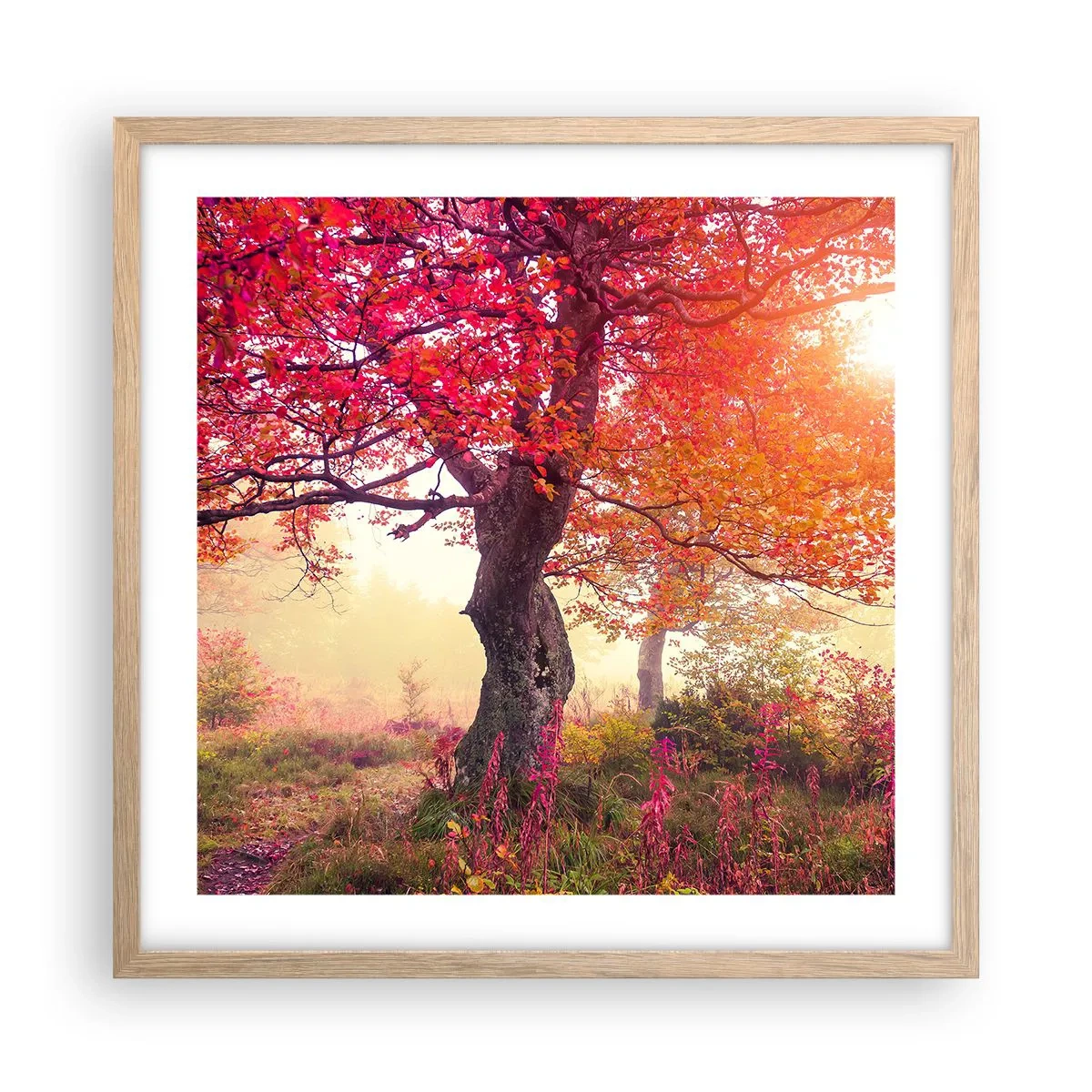 Poster in einem Rahmen aus heller Eiche - Blühende Raserei - 50x50 cm