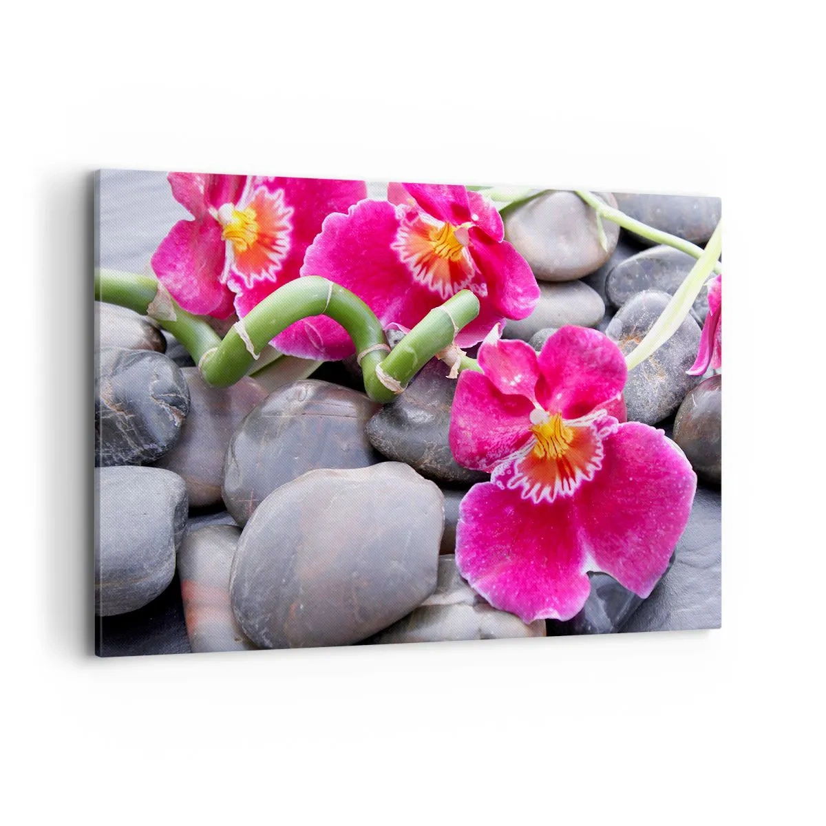 Bild auf Leinwand - Leinwandbild - Rosa Orchideen vor einem Hintergrund aus glatten Steinen - 120x80cm - Kühlen und erhitzen - Moderne Wanddekoration für Wohnzimmer und Schlafzimmer ARTTOR