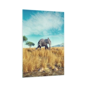 Glasbild - Bild auf glas - Zebra in einer afrikanischen Landschaft - 70x100cm - Grau ist nicht mehr in Mode - Moderne Wanddekoration für Wohnzimmer und Schlafzimmer ARTTOR