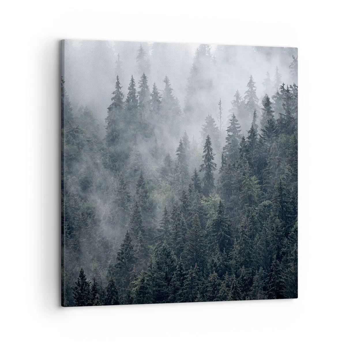 Bild auf Leinwand - Leinwandbild - Walddämmerung - 50x50 cm