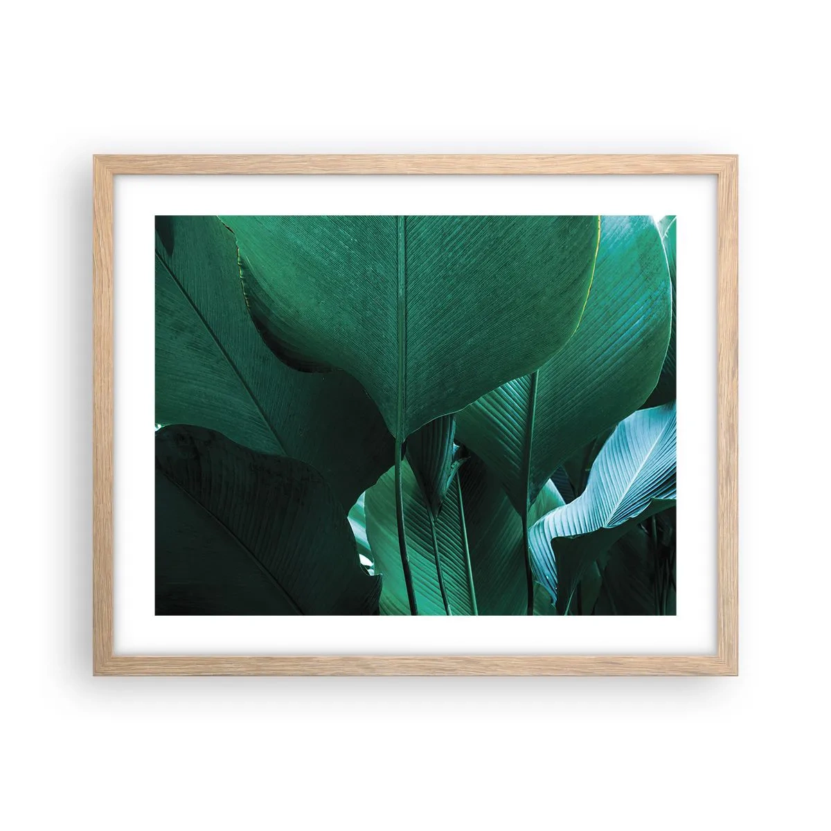 Poster in einem Rahmen aus heller Eiche - Dem Licht zugewandt - 50x40 cm