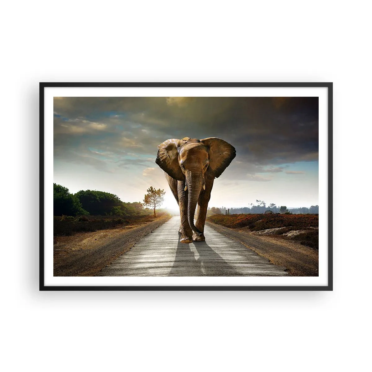 Poster in einem schwarzem Rahmen - Ein Elefant, der bei Sonnenuntergang auf einer Straße durch eine Landschaft läuft - 100x70cm - Und schon gar nicht in einem Porzellanlager - Moderne Wanddekoration für Wohnzimmer und Schlafzimmer ARTTOR