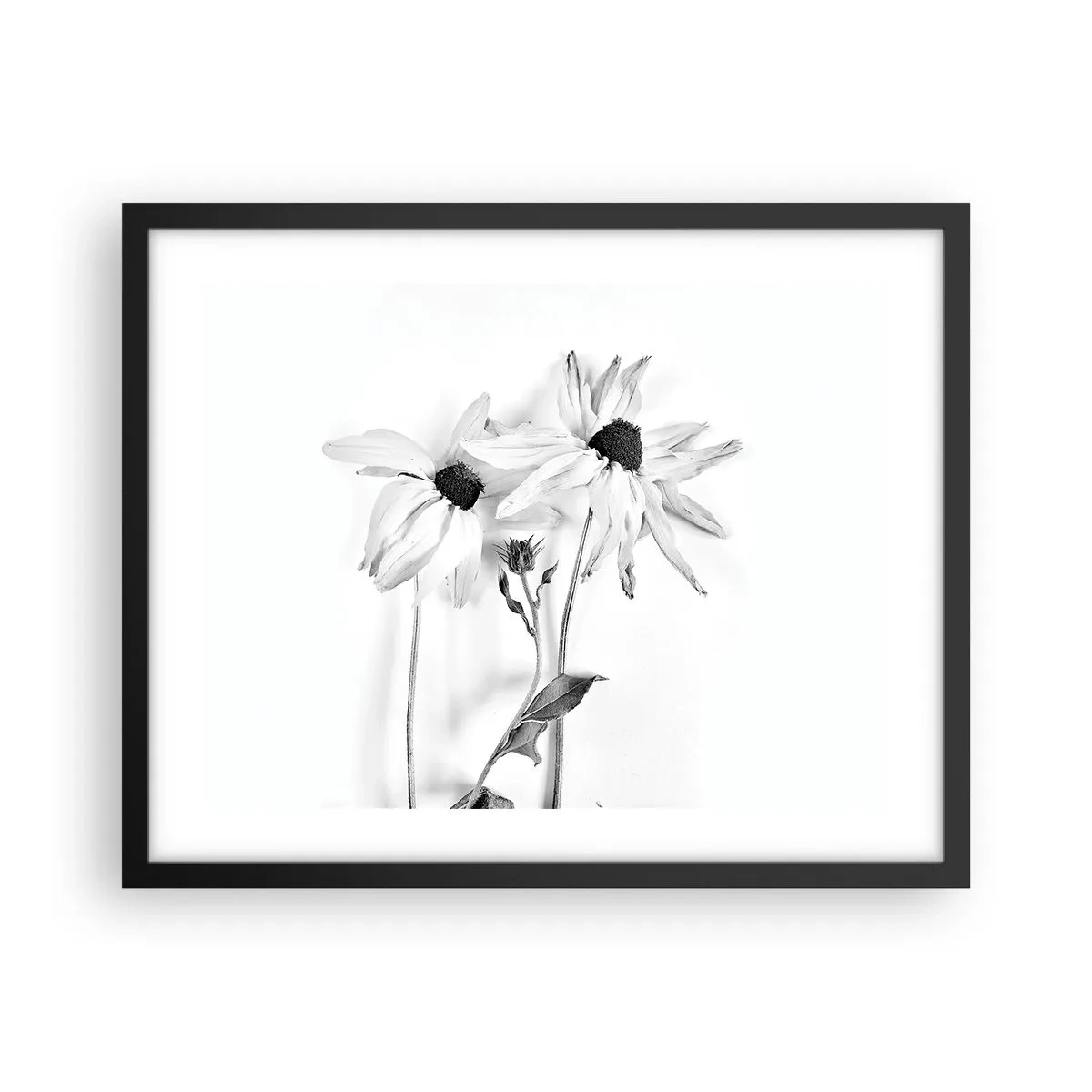 Poster in einem schwarzem Rahmen - Niemand will allein sein - 50x40 cm