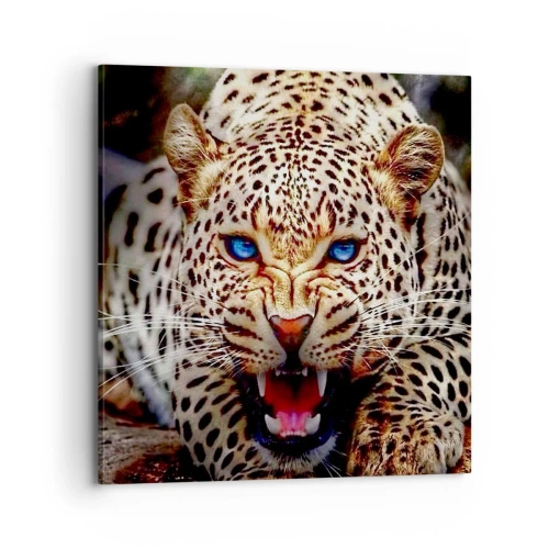 Bild auf Leinwand - Leinwandbild - Schönheitswut tut nicht weh - 70x70 cm