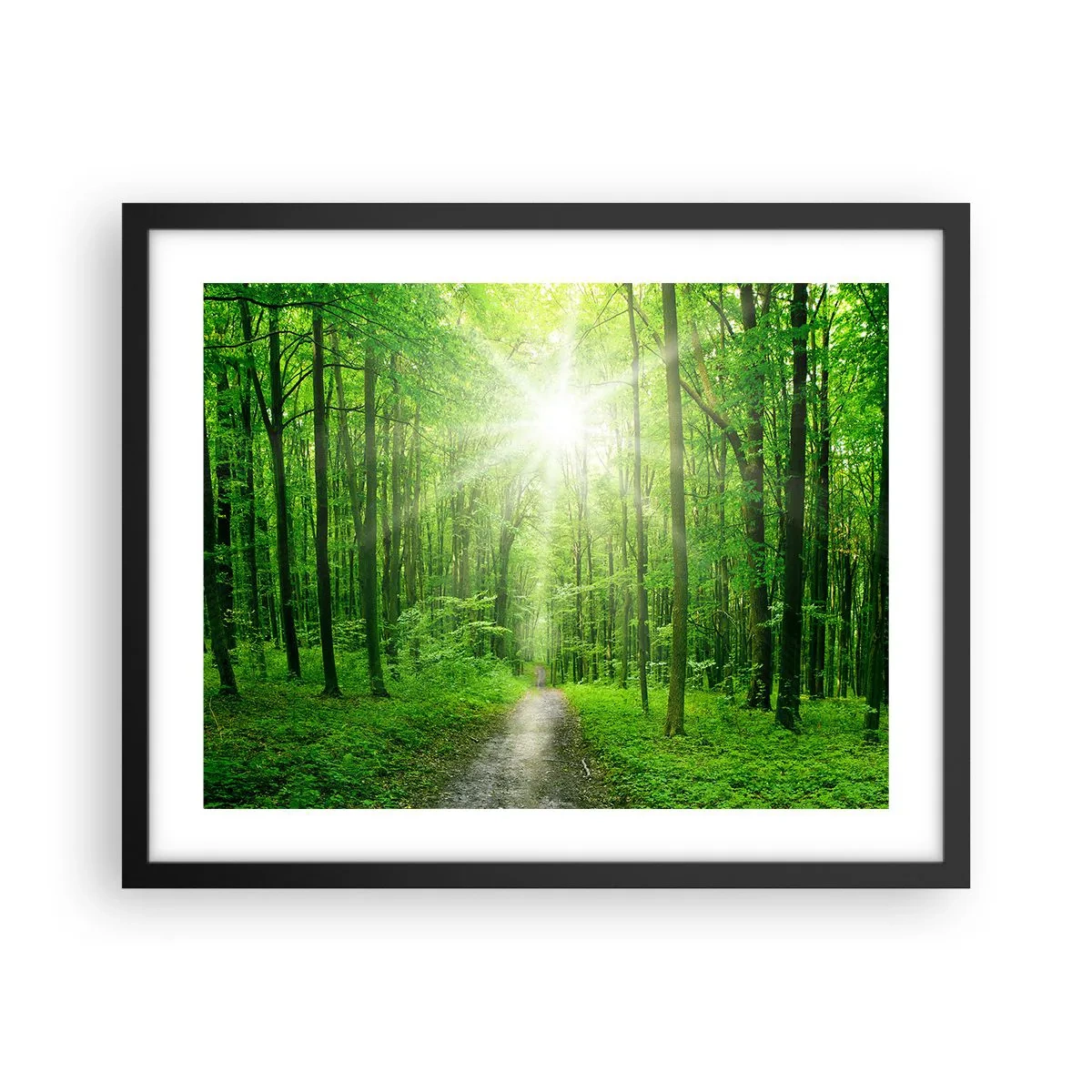 Poster in einem schwarzem Rahmen - Die grüne Kathedrale - 50x40 cm