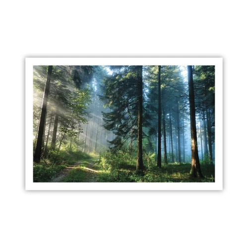 Poster - Strahlend am Morgen - 91x61 cm