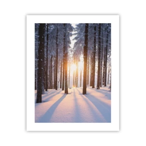 Poster - Ganz klar schwarz auf weiß - 40x50 cm