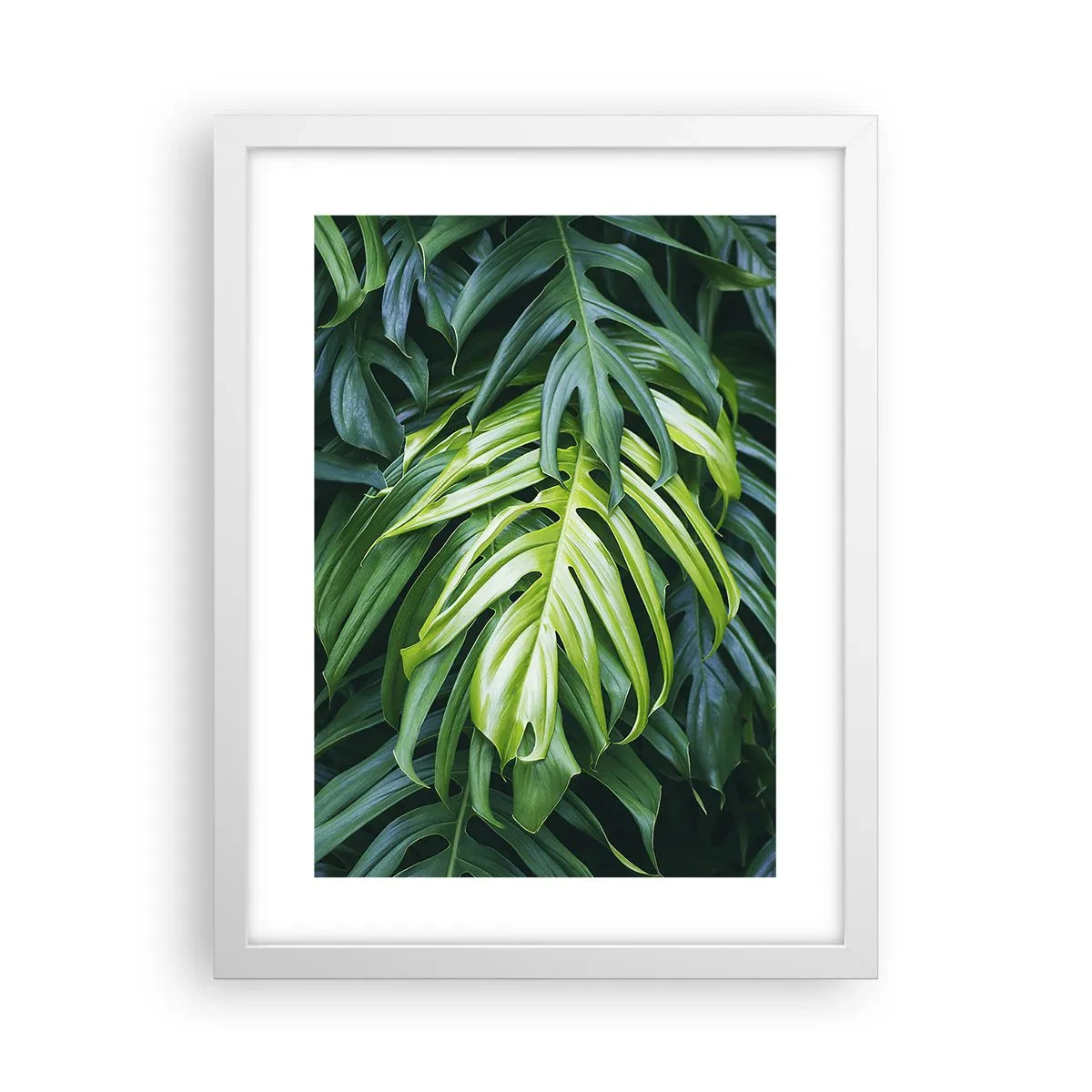 Poster in einem weißen Rahmen - Tauchen Sie ein in die Frische - 30x40 cm