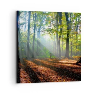 Bild auf Leinwand - Leinwandbild - Licht und Schatten - 60x60 cm