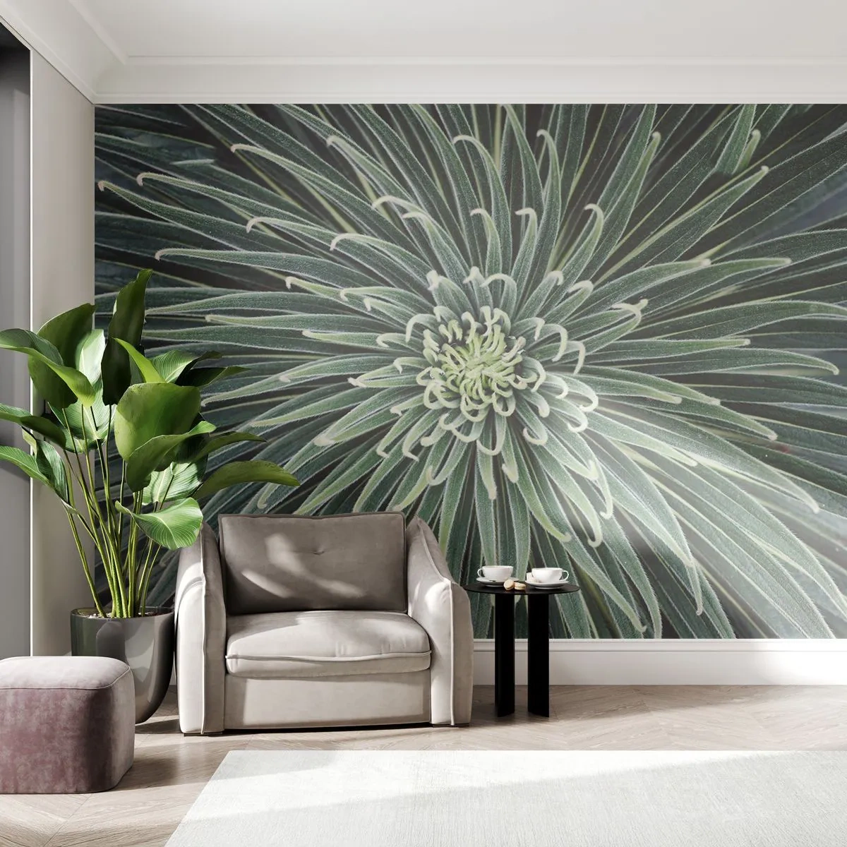 Fototapete Standard Eco - Ein Star ist geboren - Agavenblüte, Agave, Blumen - 350x256 cm
