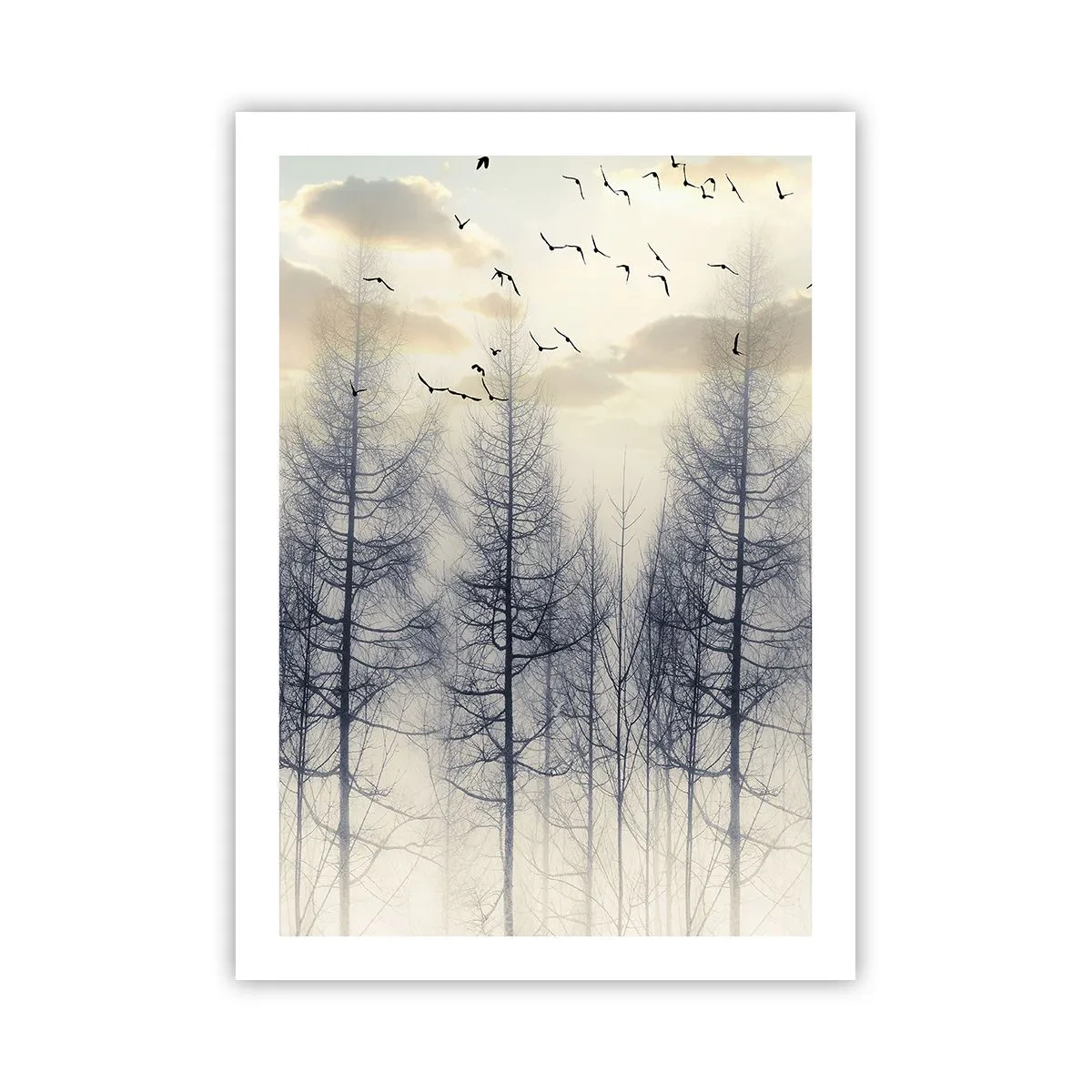 Poster - Ein nebliger Wald mit hohen Bäumen und fliegenden Vögeln am Morgen - 50x70cm - Waldgeister - Moderne Wanddekoration für Wohnzimmer und Schlafzimmer ARTTOR