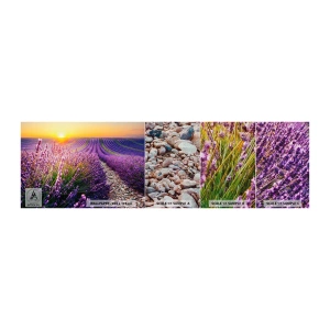 Fototapeten Muster Premium Canvas - Duftende Kornfelder - Landschaft, Lavendelfeld, Provence - 100x30 cm