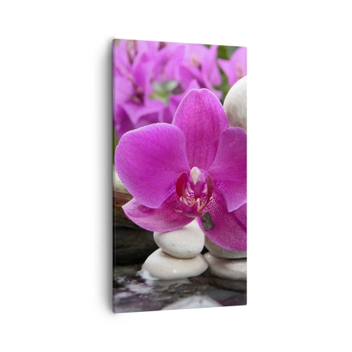 Bild auf Leinwand - Leinwandbild - Du ruhst dich schon aus - 55x100 cm