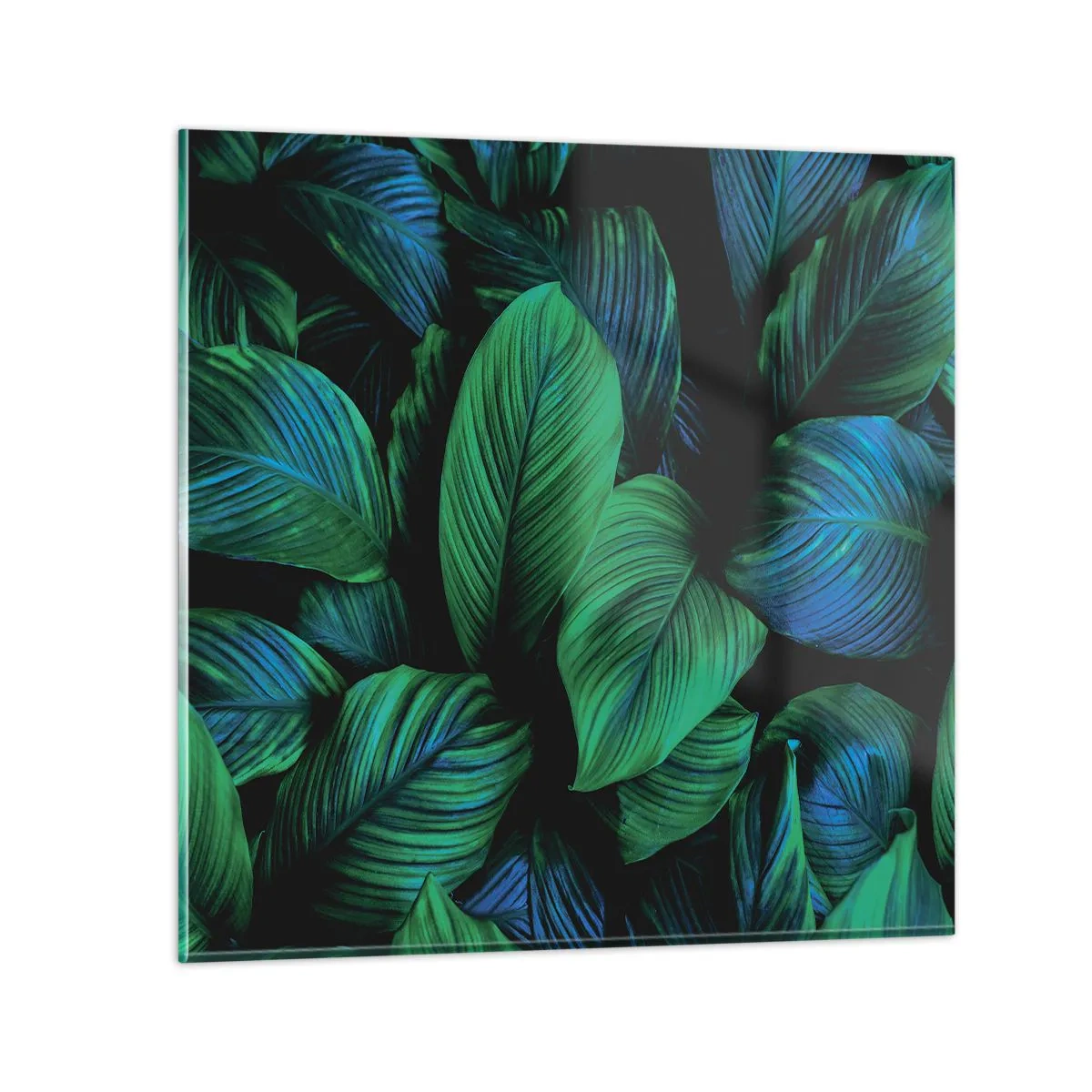 Glasbild - Bild auf glas - In der grünen Menge - 40x40 cm