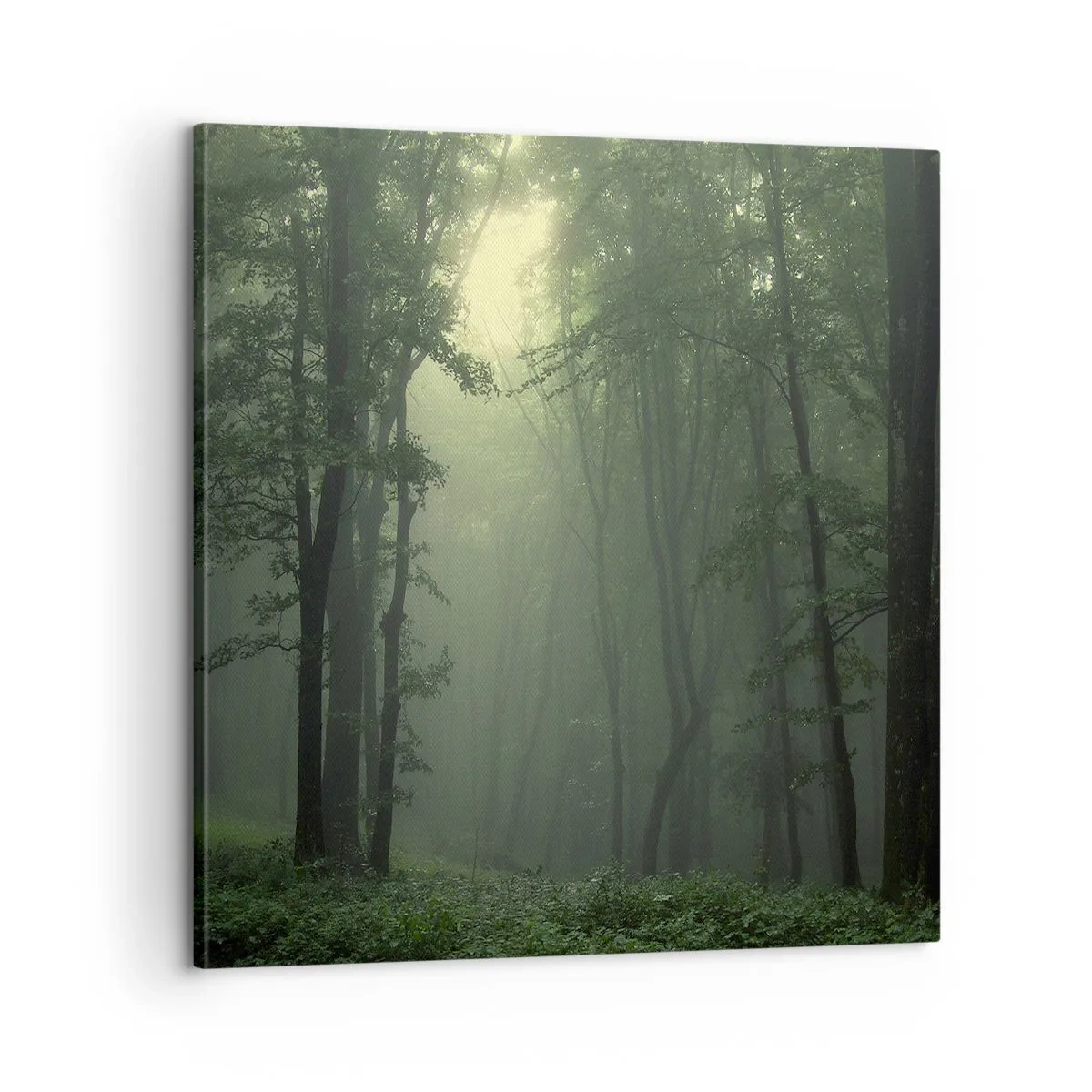 Bild auf Leinwand - Leinwandbild - Bevor er aufwacht - 60x60 cm