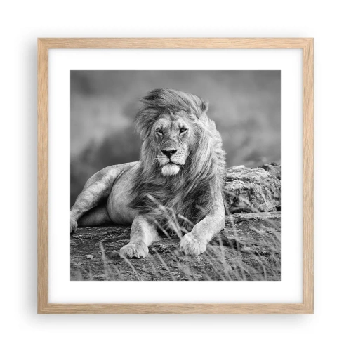Poster in einem Rahmen aus heller Eiche - Königliche Siesta - 40x40 cm