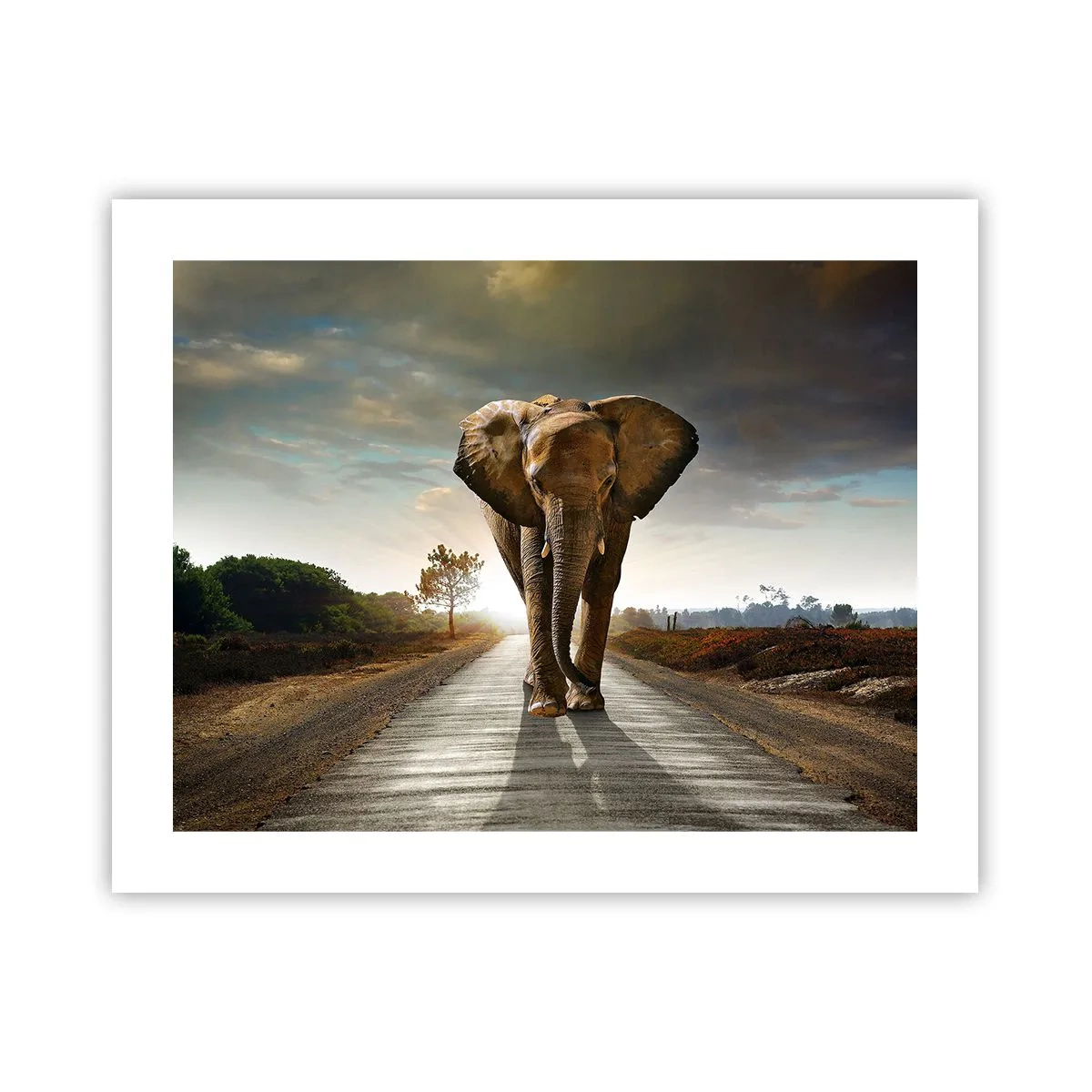 Poster - Und schon gar nicht in einem Porzellanlager - 50x40 cm