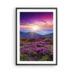 Poster in einem schwarzem Rahmen - Ein Feld mit lila Blumen in den Bergen bei Sonnenuntergang - 50x70cm - Kräuter dufteten nach frischen Trauben von den Feldern - Moderne Wanddekoration für Wohnzimmer und Schlafzimmer ARTTOR