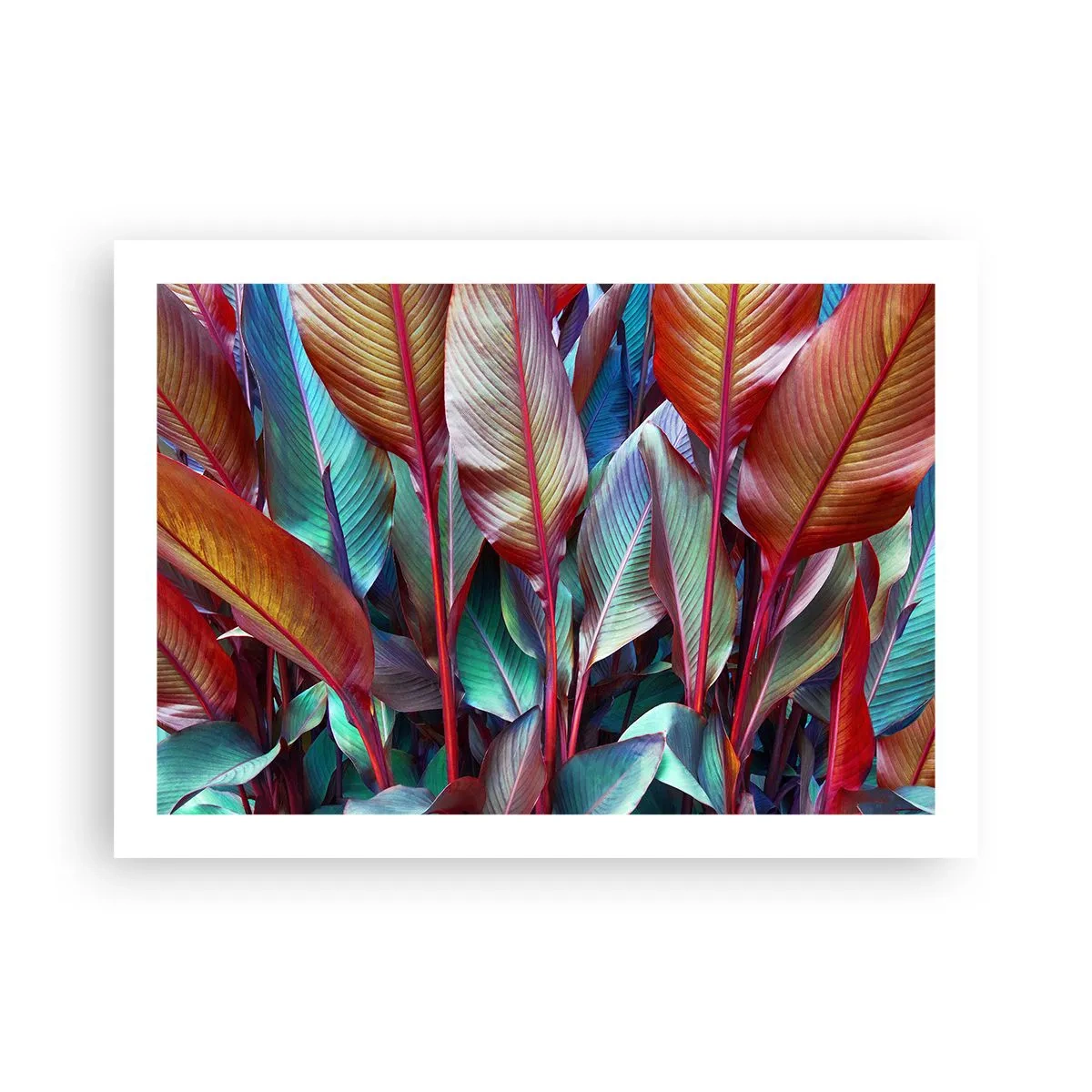 Poster - Buntes Dickicht - 70x50 cm
