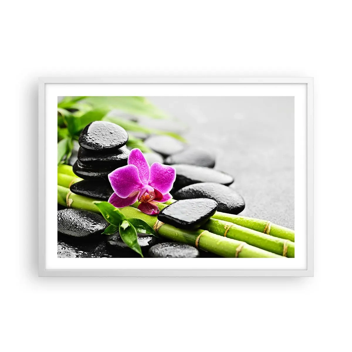 Poster in einem weißen Rahmen - In ruhiger Balance - 70x50 cm