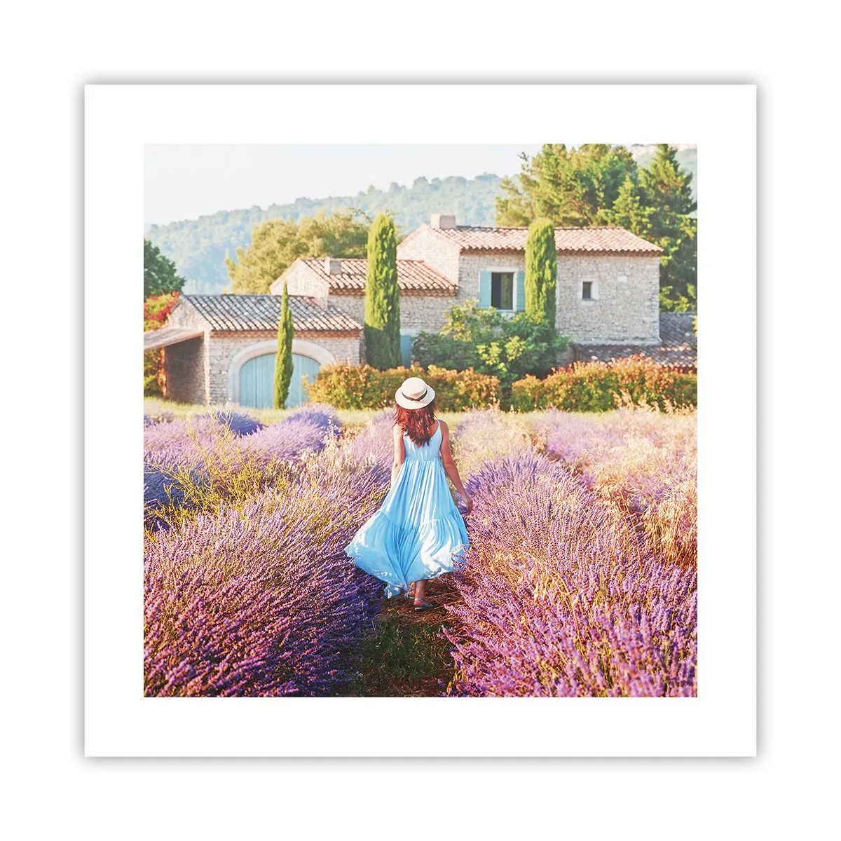 Poster - Lavendel Mädchen - 40x40 cm