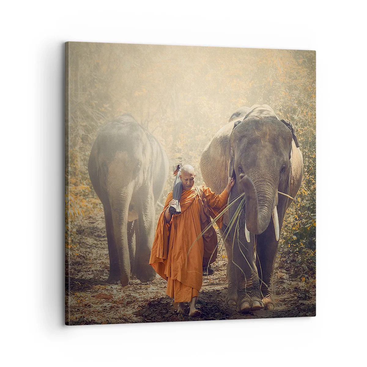 Bild auf Leinwand - Leinwandbild - Volles Verständnis - 60x60 cm