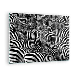 Glasbild - Bild auf glas - Eine Herde Zebras in Monochrom - 70x50cm - Gestreiftes Gruppenportrait - Moderne Wanddekoration für Wohnzimmer und Schlafzimmer ARTTOR