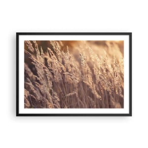 Poster in einem schwarzem Rahmen - Goldene Gräser vor dem Hintergrund der untergehenden Sonne - 70x50cm - Bereit, den Herbst willkommen zu heißen - Moderne Wanddekoration für Wohnzimmer und Schlafzimmer ARTTOR