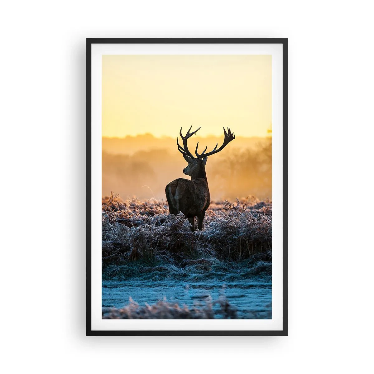 Poster in einem schwarzem Rahmen - Gekrönt auf seinem Besitz - 61x91 cm