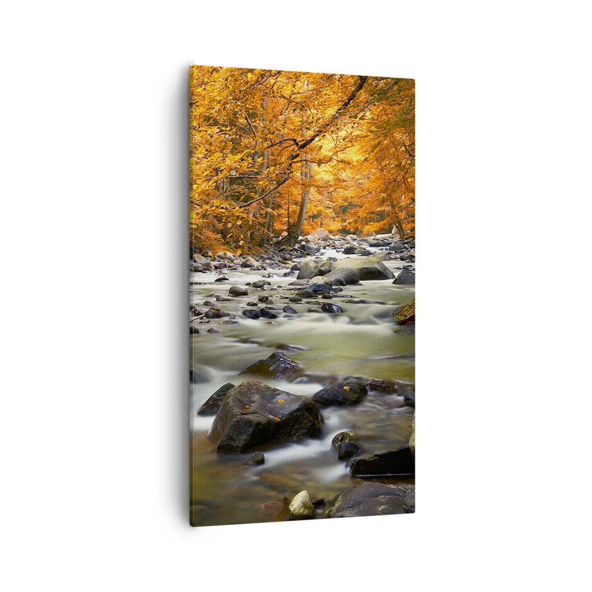 Bild auf Leinwand - Leinwandbild - Ein Bach in einem goldenen Wald - 55x100 cm