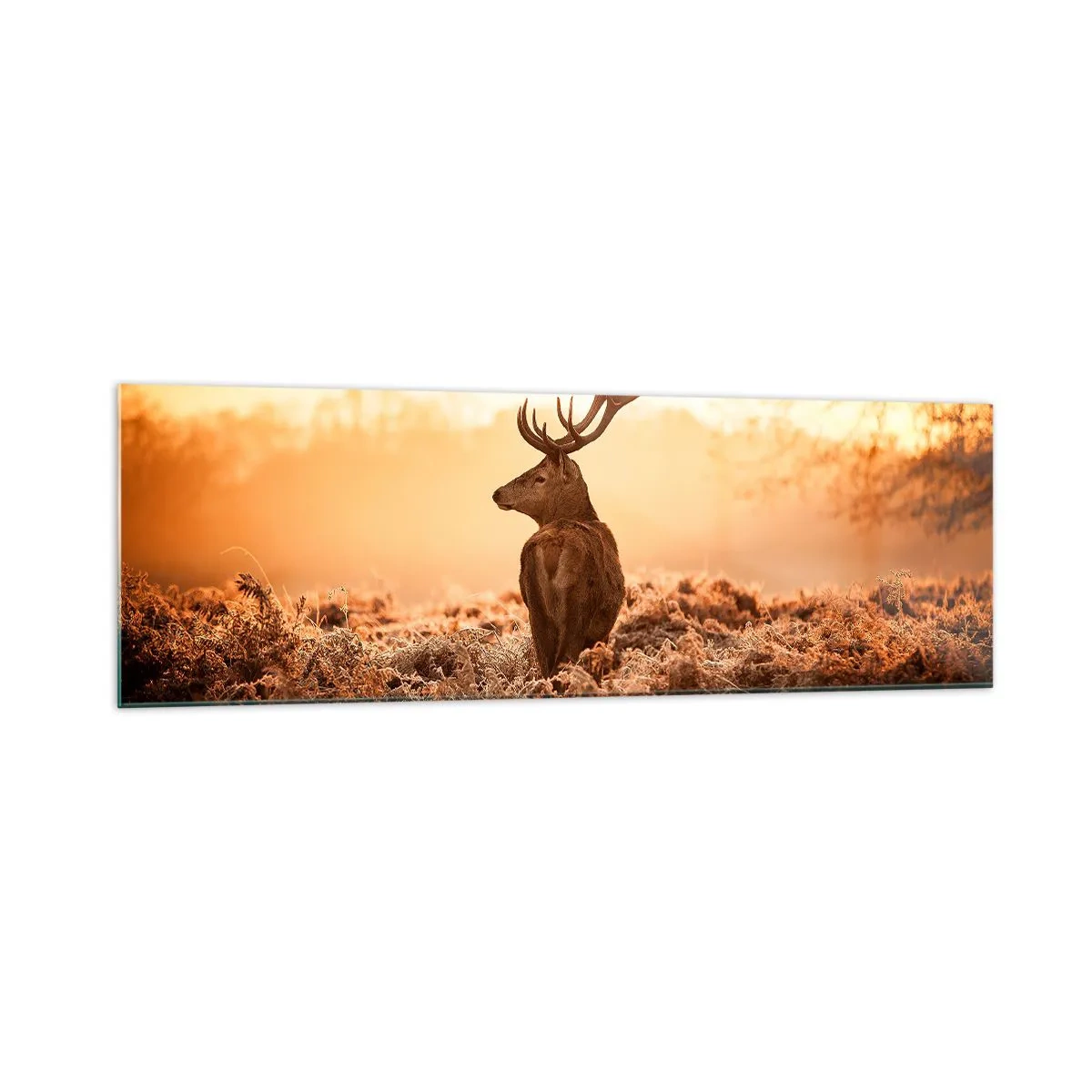 Glasbild - Bild auf glas - Hirsch in den Strahlen der aufgehenden Sonne - 160x50cm - Herr im eigenen Land - Moderne Wanddekoration für Wohnzimmer und Schlafzimmer ARTTOR