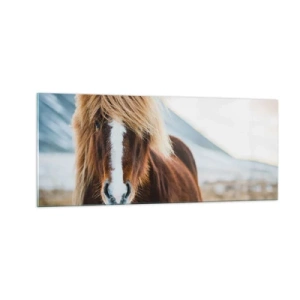 Glasbild - Bild auf glas - Spürst du die Freiheit? - 100x40 cm