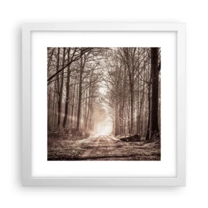Poster in einem weißen Rahmen - Waldkathedrale - 30x30 cm