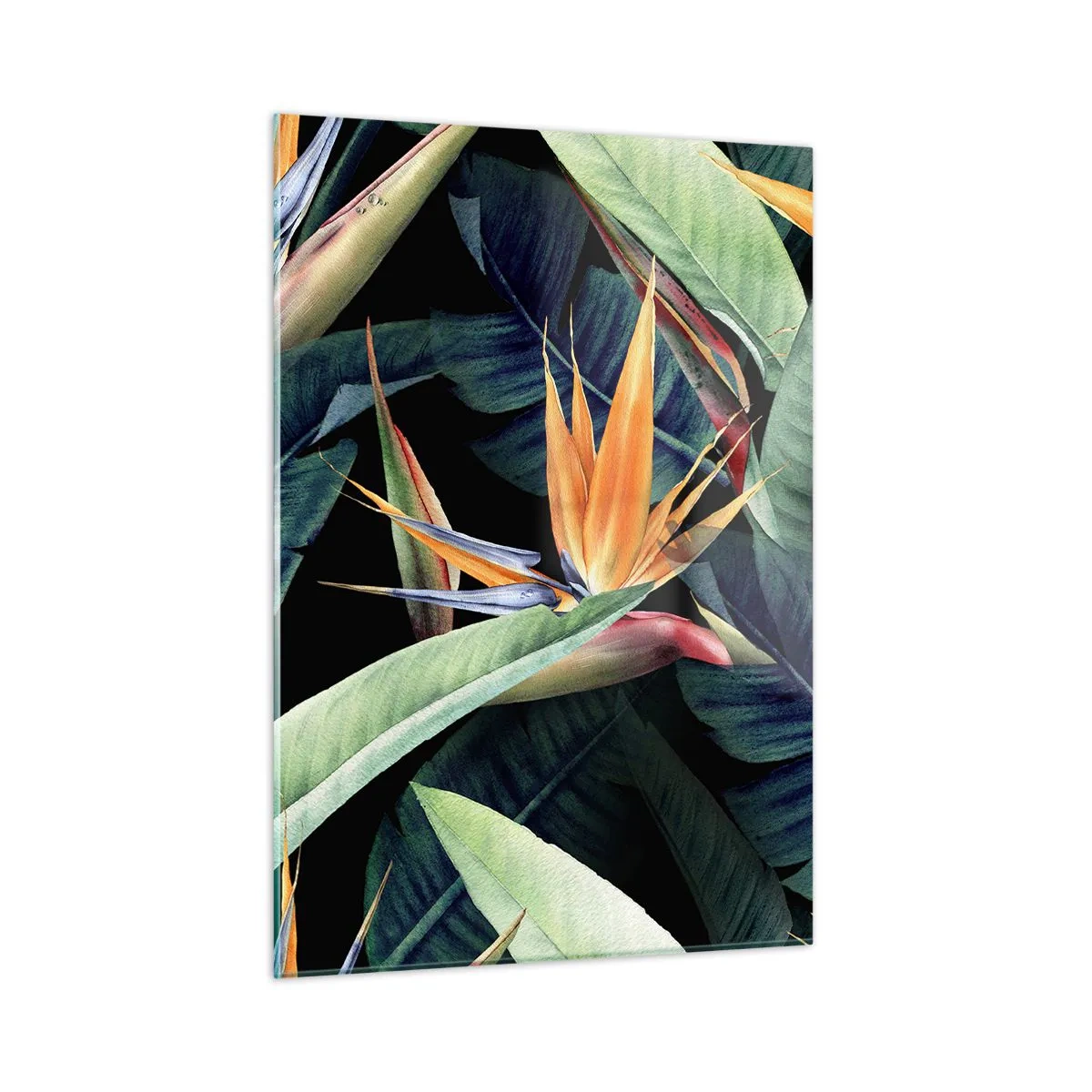 Glasbild - Bild auf glas - Strelitzia-Blüten und tropische Blätter auf schwarzem Hintergrund - 50x70cm - Flammende Blumen der Tropen - Moderne Wanddekoration für Wohnzimmer und Schlafzimmer ARTTOR