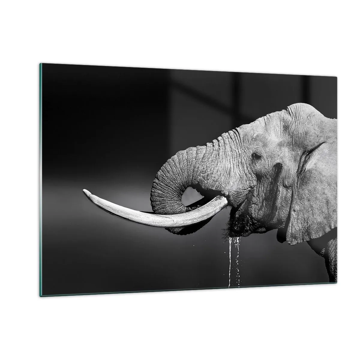 Glasbild - Bild auf glas - Schwarz-Weiß-Porträt eines Elefanten mit Rüssel - 120x80cm - Ja, gut jetzt - Moderne Wanddekoration für Wohnzimmer und Schlafzimmer ARTTOR