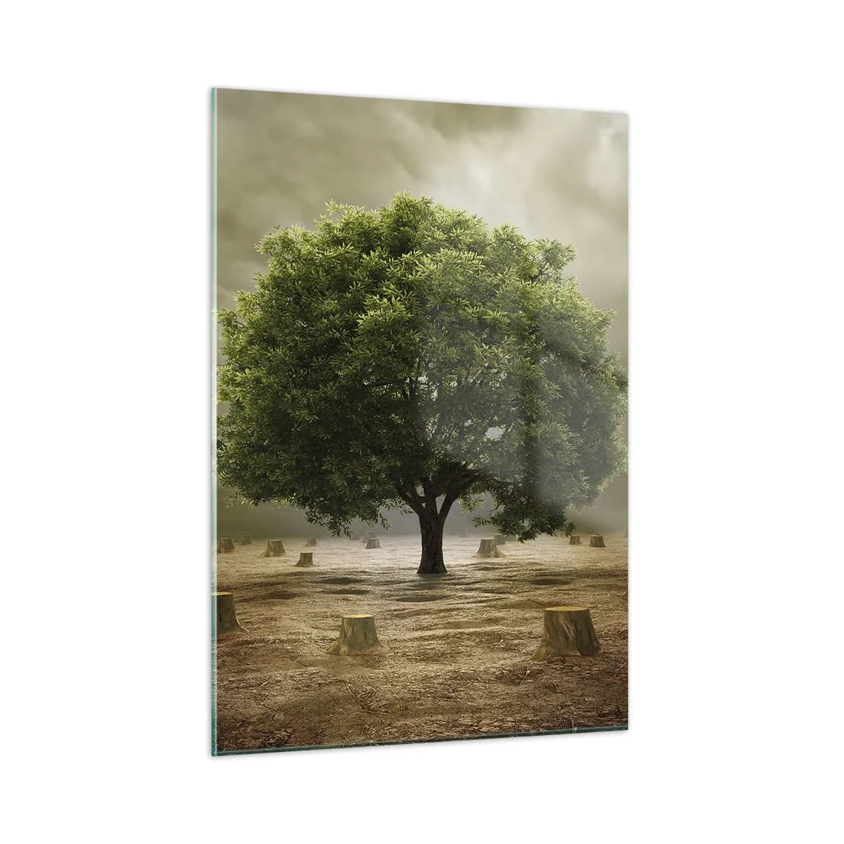 Glasbild - Bild auf glas - Ein grüner Baum, umgeben von Stämmen vor einem düsteren Himmel - 50x70cm - Alle Hoffnung - Moderne Wanddekoration für Wohnzimmer und Schlafzimmer ARTTOR