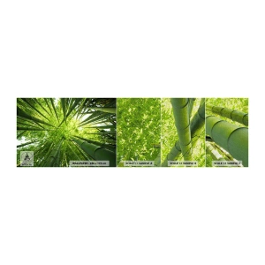 Fototapeten Muster Premium Canvas - In einem Bambushain - Bambuswald, Dschungel, Bambus - 100x30 cm