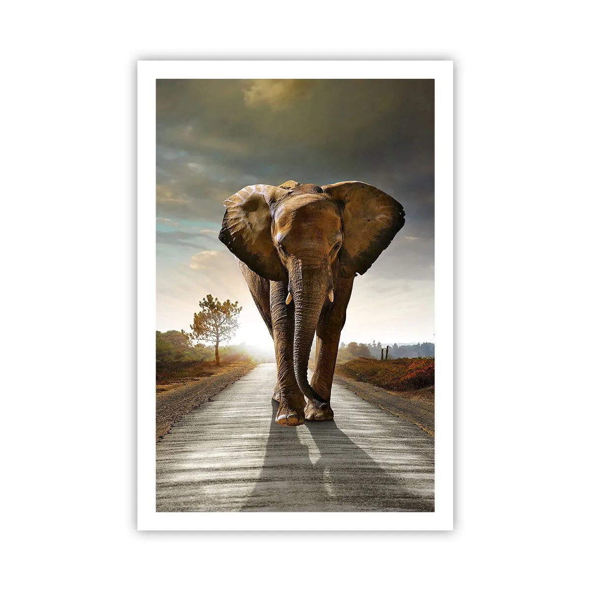 Poster - Und schon gar nicht in einem Porzellanlager - 61x91 cm