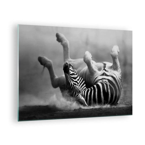 Glasbild - Bild auf glas - Ein liegendes Zebra in der afrikanischen Savanne - 70x50cm - Nicht nur das Pferd würde lachen - Moderne Wanddekoration für Wohnzimmer und Schlafzimmer ARTTOR