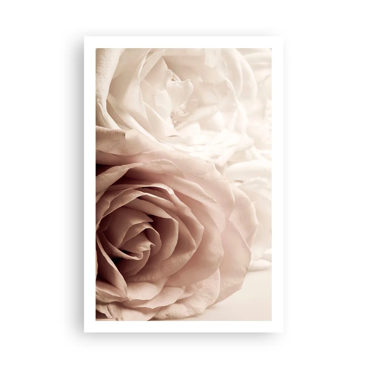 Poster - Im Herzen der Rose - 61x91 cm