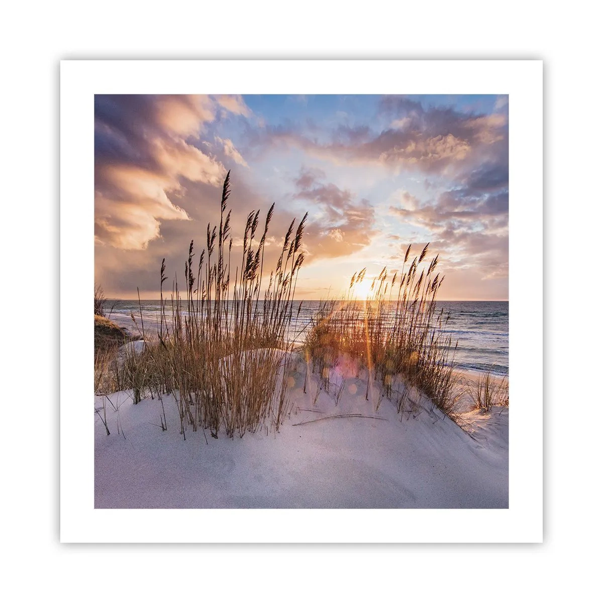 Poster - Abschied von Sonne und Wind - 50x50 cm