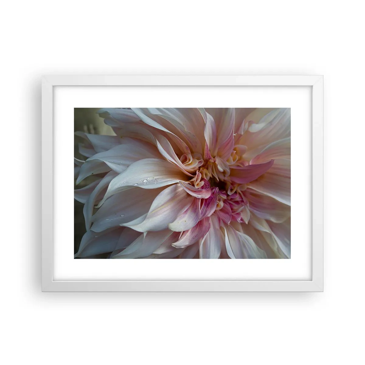 Poster in einem weißen Rahmen - Blühende Frische - 40x30 cm